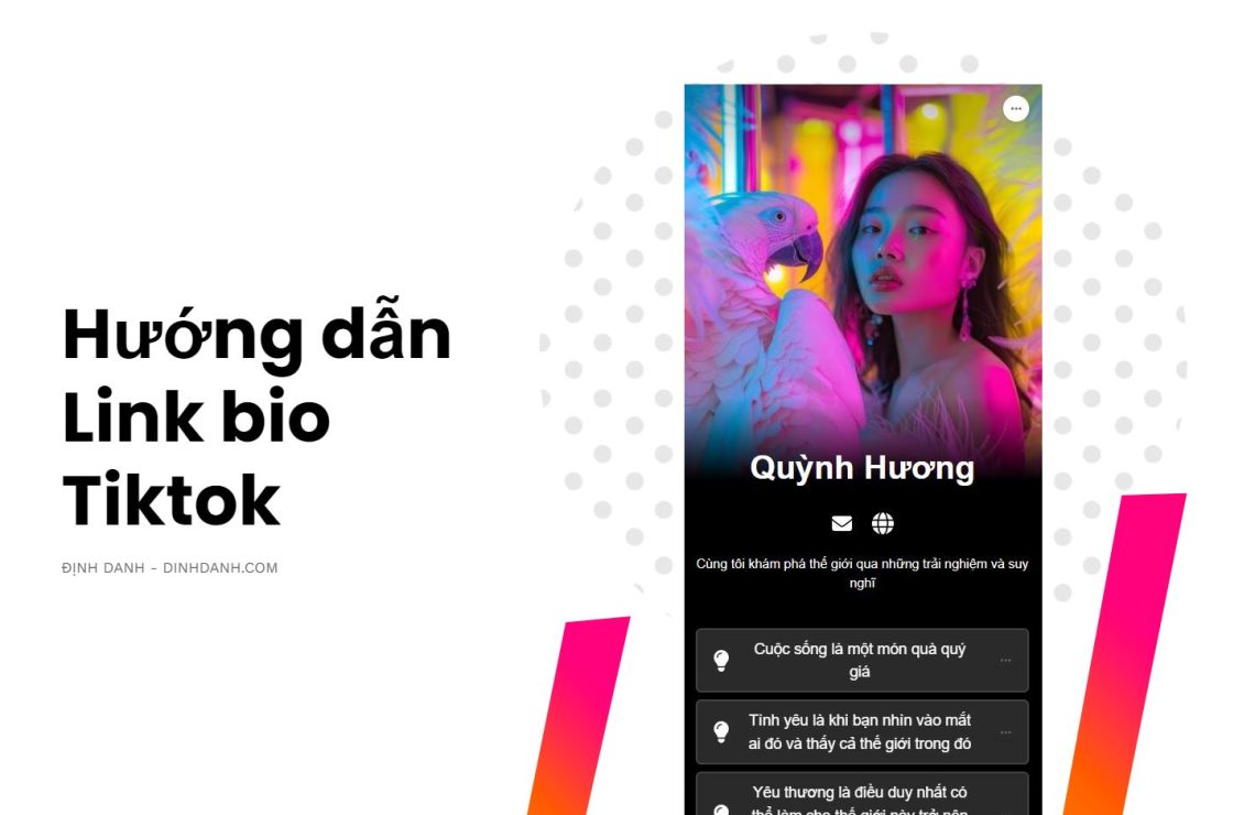 Hướng dẫn link bio Tiktok